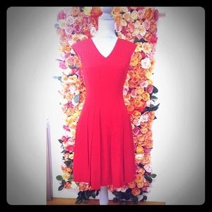 Calvin Klein Dress size 4 Red with Gold Zipper